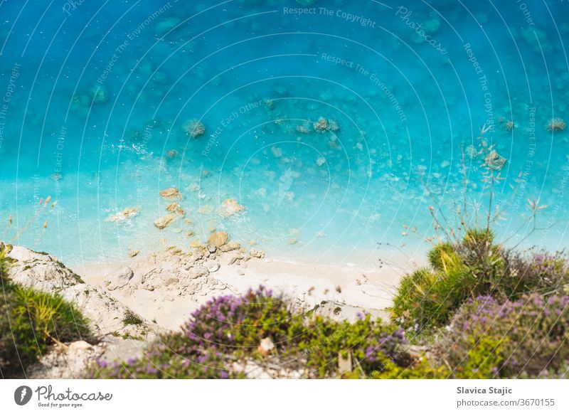 Luftaufnahme eines wilden Sandstrandes mit klarem Wasser. Blühender wilder Thymian am Rande der Klippe, schöner Strandhintergrund oben Antenne Hintergrund Bucht