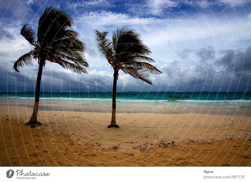 strand meeresalgen und küste im playa paradiso Strand Meer Insel Wellen Sand Himmel Baum Felsen Küste Wasserfahrzeug Stein blau braun gelb grün rot schwarz weiß