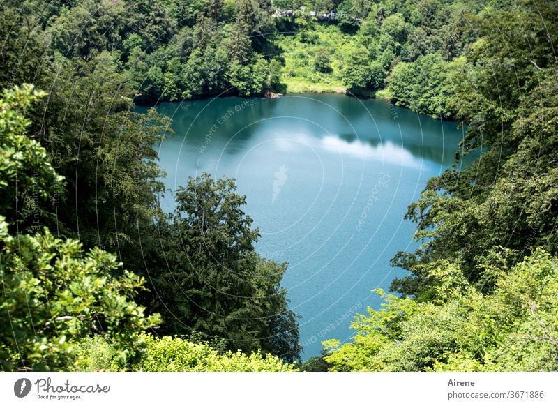 Maar statt mare See Teich Vulkansee Wald Naturschutzgebiet grün blau türkis klar Wasser glatt schönes Wetter windstill Ruhe Einsamkeit ruhig einsam Erholung