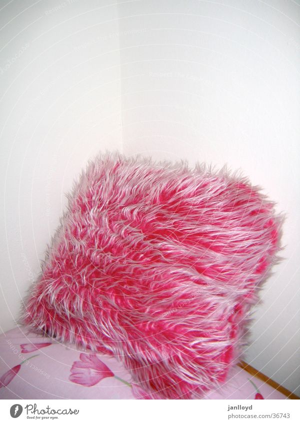 flauschig Kissen Wand weich rosa Bett Fell Häusliches Leben Ecke gestellt Kopfkissen