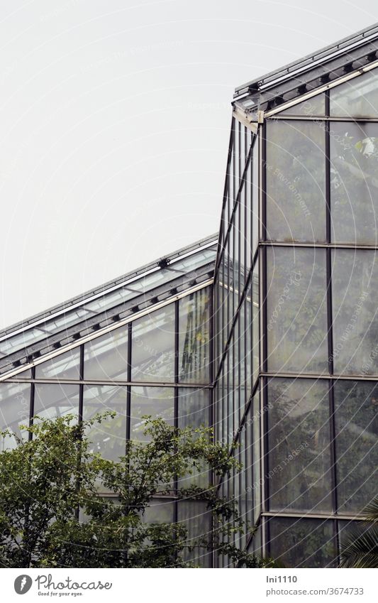 Tropenhaus Teilansicht außen Gewächshaus Tropenpflanzen Glashaus Temperatur Regenwald Pflanzen exotische Pflanzen Glasscheiben Luftfeuchtigkeit