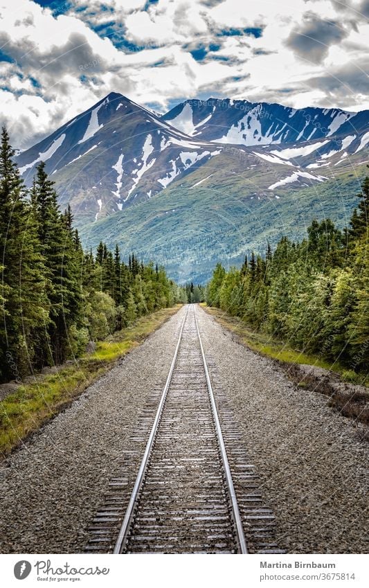 Eisenbahn zum Denali-Nationalpark, Alaska mit beeindruckenden Bergen Reise denali national Park Hintergrund schön blau braun Farbe Wald grün Landschaft