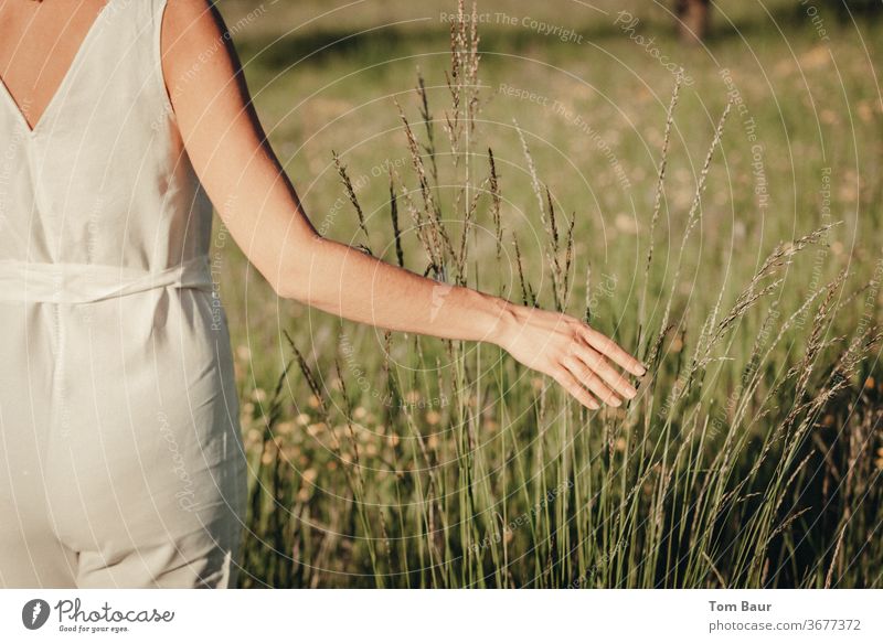 Hand einer Frau gleitet über langes Gras frau auf wiese Wiese grün Sommer Schatten laufen graß berühren Hand berührt gras Natur Freiheit weiß weiß gekleidet