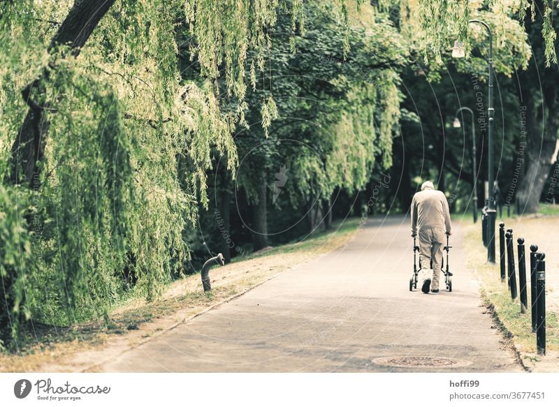 der alte Mann geht seine tägliche Runde durch den nahgelegenen Park altern Alt Senior Seniorenheim park Spaziergang allein Einsamkeit 60 und älter