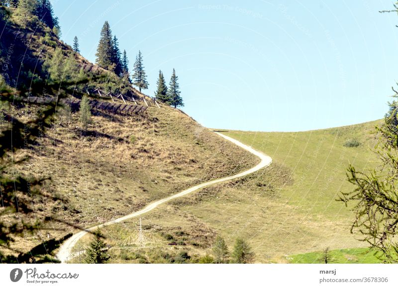 Weg, der eine hügelige Landschaft in zwei Hälften teilt Hügel Wiese Natur Gras Wald bewaldet bewaldeter Hügel Baum blau Himmel wandern
