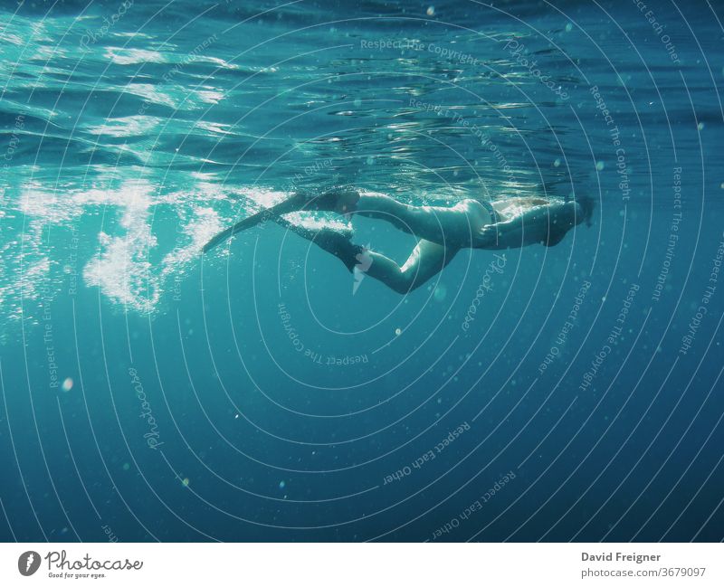 Junge Frau schwimmt und schnorchelt im Meer unter Wasser jung MEER Taucher marin tropisch Schnorcheln Sport reisen Feiertag tief Sommer Sinkflug Spaß