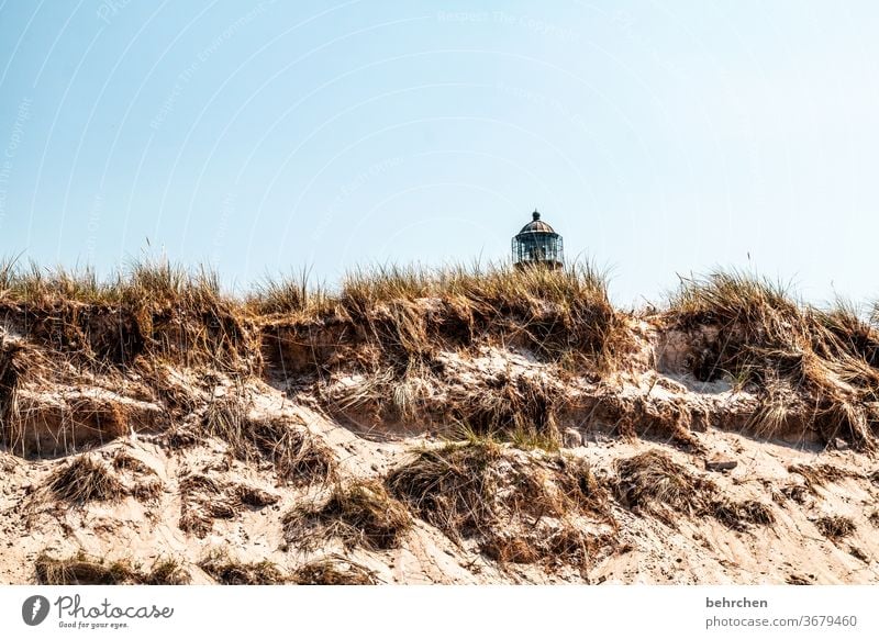 leuchtturmliebe Fernweh Sehnsucht Dünengras Sand Sehenswürdigkeit Fischland-Darß Deutschland Leuchtturm Menschenleer Wahrzeichen Erholung Sommer Natur Strand