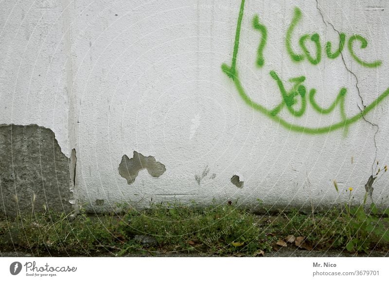 Liebesbekundung Graffiti Wand Schriftzeichen Liebeserklärung Mauer Liebesgruß Putz Gras Unkraut Pflanze Gefühle grün weiß Sympathie Symbole & Metaphern