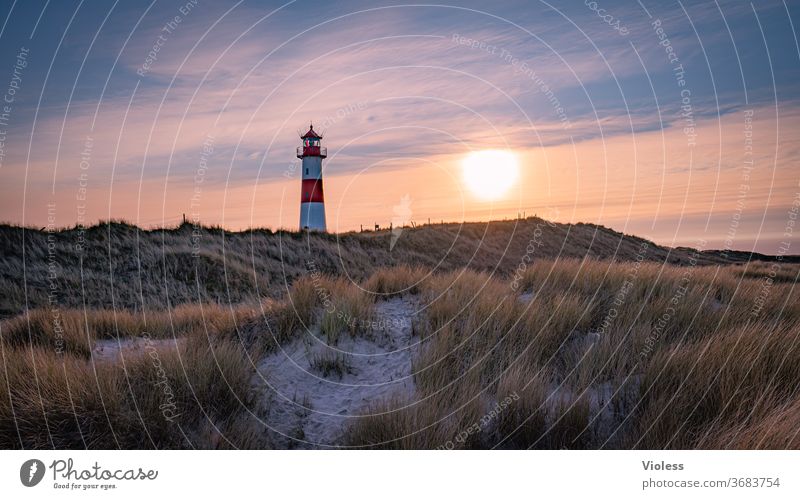 Sylt, ein schöner Tag nähert sich dem Ende Insel Nordsee Leuchtturm List Sonnenuntergang Dünengras Urlaub Reisen
