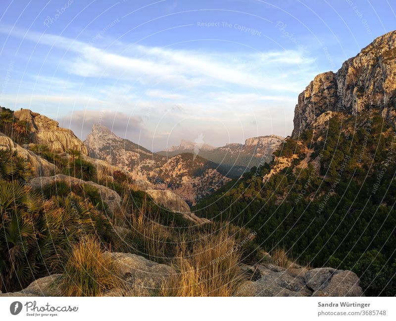 Sonnenuntergang auf Mallorca Berge Licht Sommer Sommerurlaub Landschaft keine Menschen Ferien & Urlaub & Reisen Berge u. Gebirge Himmel Natur Menschenleer
