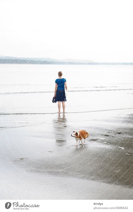 Frau steht barfuß im Wasser und schaut sehnsüchtig aufs Meer, hinter ihr läuft ein Hund vorbei Sehnsucht Insel Strand schauen fern allein Einsamkeit
