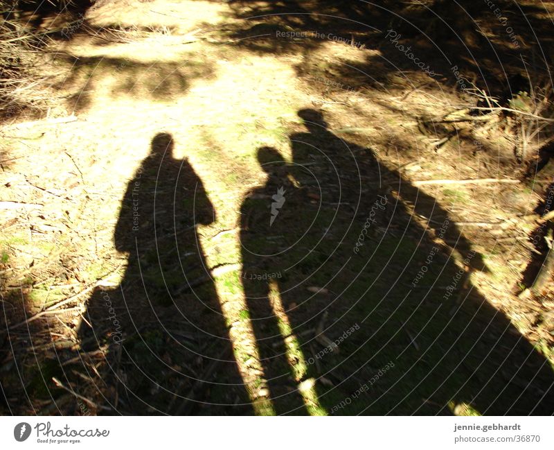 Schatten im Wald wandern Freundschaft Waldboden Spaziergang Menschengruppe Sonne Natur schadow