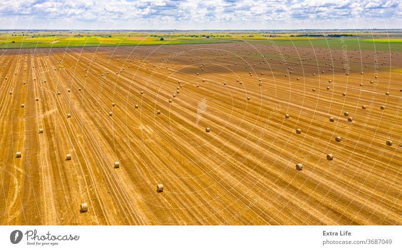 Luftaufnahme von ausgekleideten, runden Strohballen auf dem landwirtschaftlichen Feld oben quer Antenne Ackerbau Ballen Müsli Landschaft Ernte Dröhnen trocknen