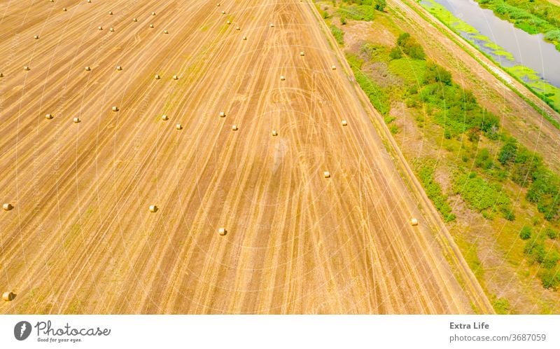 Luftaufnahme von ausgekleideten, runden Strohballen auf dem landwirtschaftlichen Feld oben quer Antenne Ackerbau Ballen Müsli Landschaft Ernte Dröhnen trocknen