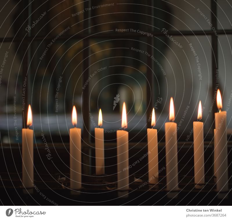 Kerzenaltar mit brennenden Kerzen in einer Kapelle brennende Kerzen Kirche beten Ruhe Hoffnung Licht Religion Glaube Religion & Glaube Christentum Gebet heilig