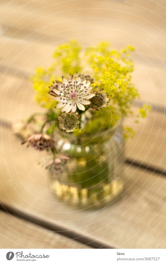 Blumen in Vase Blumenstrauß Blüte Dekoration & Verzierung Menschenleer Blühend Farbfoto Tisch Gastronomie