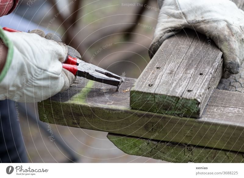 Heimwerker zieht alten Nagel mit Zange aus verwittertem Holz Hand Handschuh festhalten Arbeitshandschuhe Nagelzange Mann reparieren heimwerken Handwerker