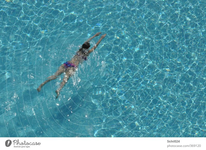 Frau schwimmt im Pool Sommer Fitness Sport-Training Wassersport Schwimmen & Baden Schwimmbad Mensch feminin Junge Frau Jugendliche 1 18-30 Jahre Erwachsene