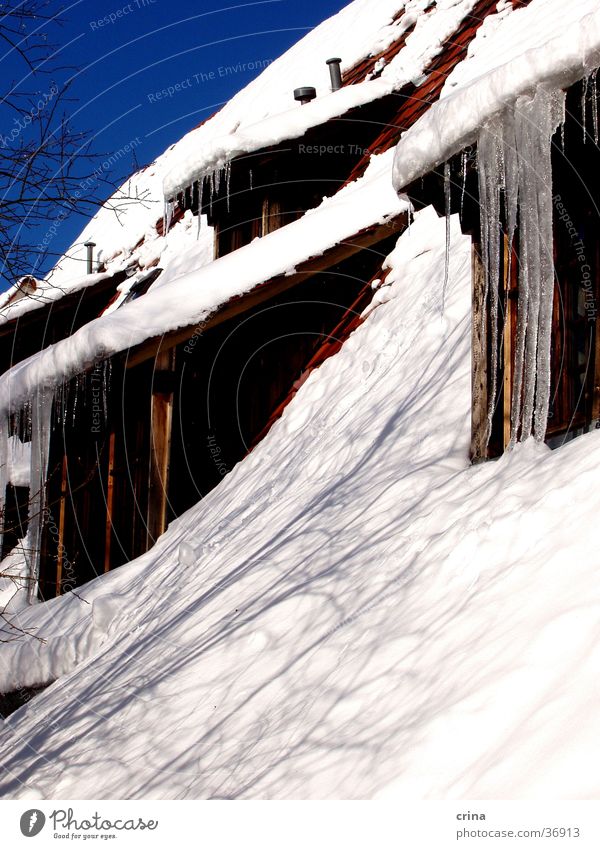 Haus im Winter Dach Eiszapfen weiß Häusliches Leben Schnee