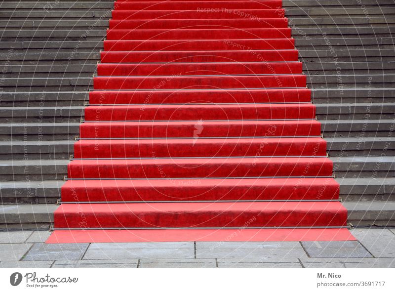 red carpet Treppe rot grau Teppich Begrüßung Feste & Feiern Architektur Bauwerk Veranstaltung elegant Lifestyle Erfolg Starruhm Politik & Staat Show Medien