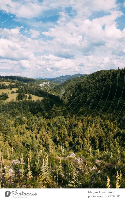 Blick auf eine wunderschöne Landschaft des Zlatibor-Gebirges in Serbien Abenteuer Hintergrund Schönheit blau Wolken wolkig Ökologie Umwelt Europa Immergrün