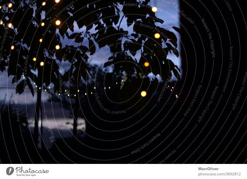 Lichterkette leichte Kette Lichterketten Schnurlicht Nacht Silhouette Morgen Weihnachtsbeleuchtung Dekoration & Verzierung Feier Glühbirne glühend hell