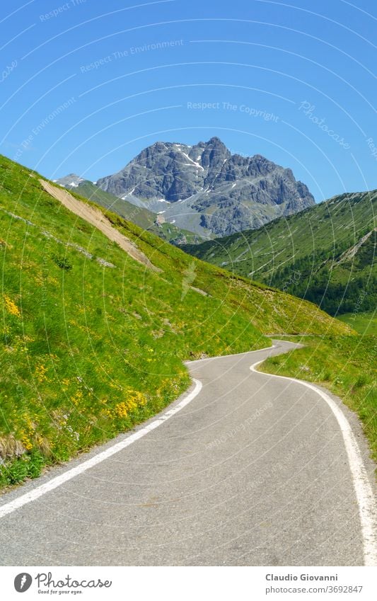 Berglandschaft entlang der Straße zum Crocedomini-Pass Brescia Europa Italien Juni Lombardei Farbe Tag grün Landschaft Berge u. Gebirge Natur Fotografie Pflanze