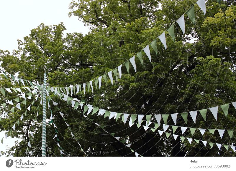 Party - viele Girlanden mit grün-weißen Fähnchen hängen über einem Dorfplatz Dekoration Feier Fest Schmuck Pfahl Baum Partylaune Feststimmung