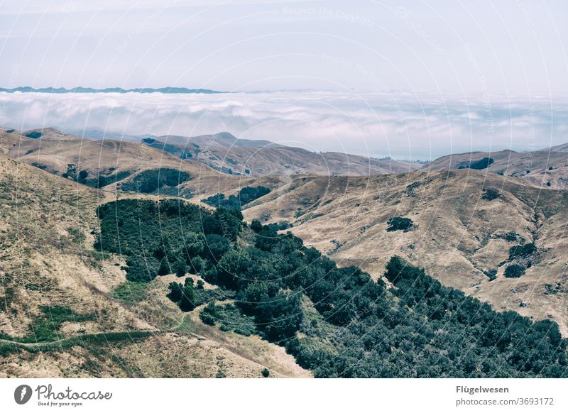 Westküste Nebel Nebelschleier Nebelstimmung Nebelbank Nebelmeer Nebelwand Nebelwald Nebeldecke Nebelfeld Aussicht Amerika USA Berge u. Gebirge