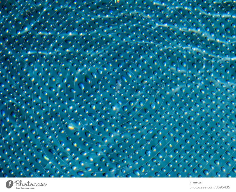 Schwimmbecken Ordnung Muster abstrakt Raster hell blau Flüssigkeit Wasser Schwimmbad Punkt Strukturen & Formen Erfrischung Freizeit & Hobby Vogelperspektive