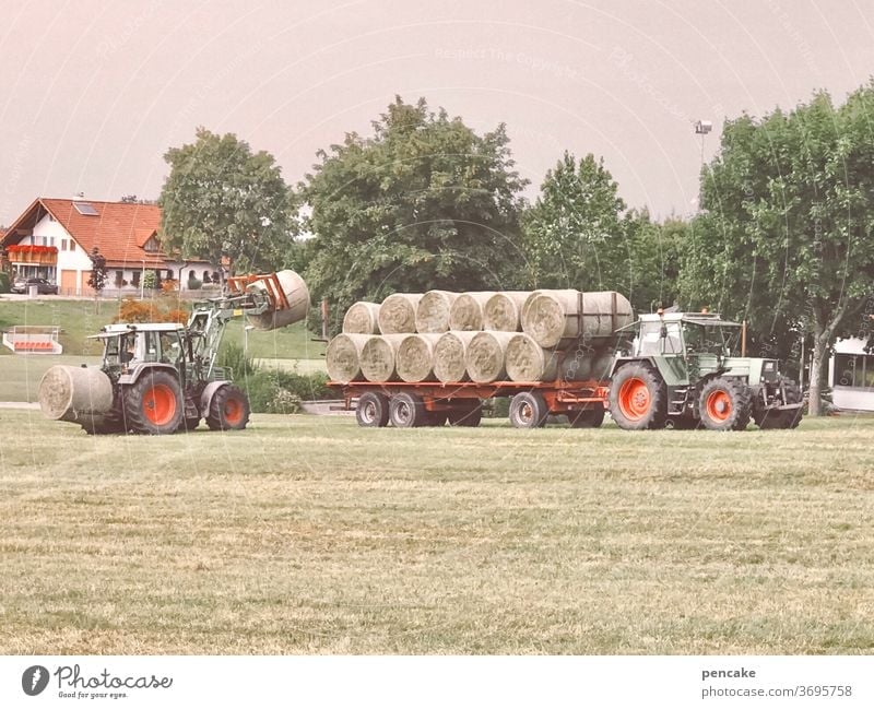 systemrelevant | gesunde Landwirtschaft ländlich Gras Heu Heuballen nachhaltig Traktor Ernte Kreislauf der Natur Wiese Bauernhof Sommer Futter Feld Umwelt