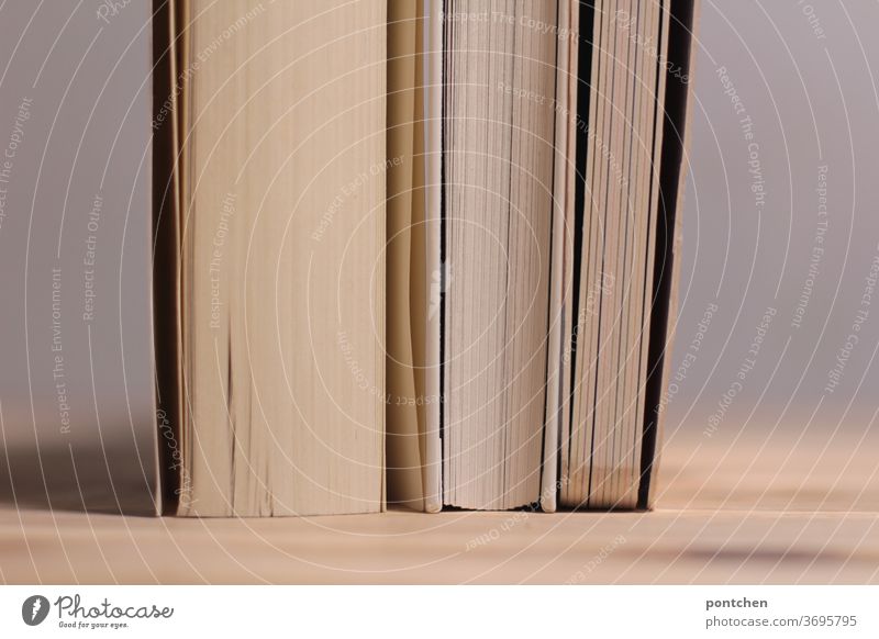 Drei unterschiedlich dicke Bücher mit weißen Seiten stehen eng nebeneinander auf einem Holztisch. Sich stützen, Zusammenhalt lesen bildung Literatur Buch Papier