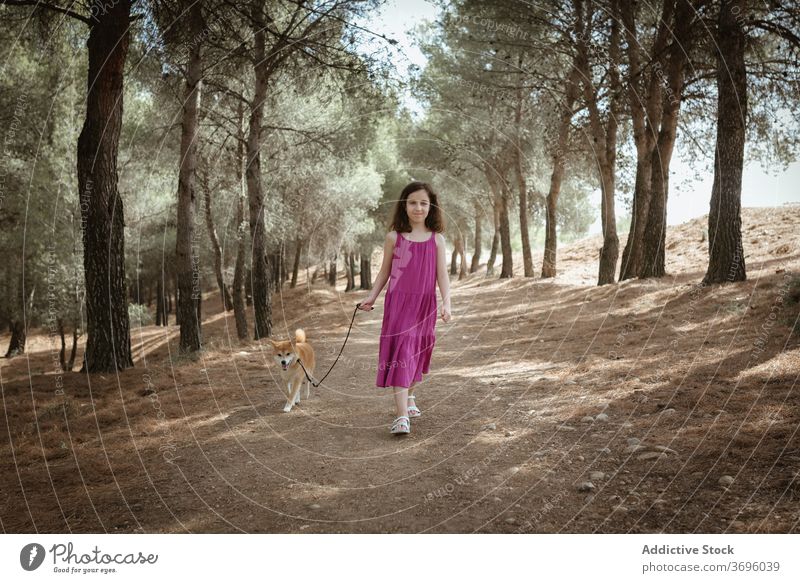 Mädchen mit Hund stehend im Wald Zusammensein Kind Sommer Haustier Natur Freund gehorsam farbenfroh Glück anleinen Tier Eckzahn bezaubernd Wälder Feiertag