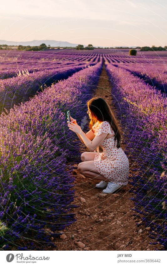 Frau in der Natur beim Fotografieren von Blumen im Urlaub. Selfie Telefon Sommer Feld Glück schön Landschaft Reisender Lavendel Porträt Menschen Schönheit