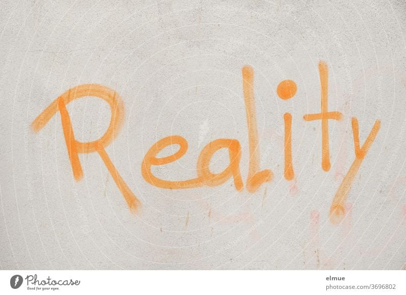 "Reality" steht mit orangefarbener Schrift auf der grauen Wand Realität Meinung Graffiti Lifestyle englisch Fassade Schriftzeichen Mitteilung Hinweis