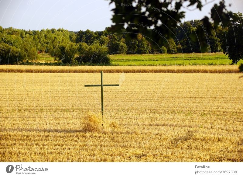 Auf einem abgemähten Kornfeld steh ein hölzernes Kreuz als Mahnung Feld Sommer Landwirtschaft Getreide Ähren Natur Getreidefeld Nutzpflanze Ackerbau Ernährung