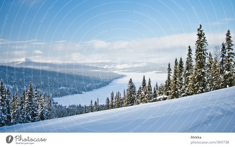 Panoramablick in ein winterliches sonniges verschneites Tal mit großem See das von bewaldeten verschneiten Bäumen gesäumt ist und von einem blauen Himmel überzogen wird und in das ein Sonnenstrahl fällt