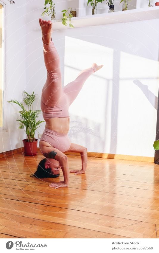 Frau macht Yoga in unterstützter Kopfstand-Pose unterstützte Kopfstand-Pose Salamba sirsasana beweglich Gleichgewicht heimwärts mollig Gesundheit hölzern Stock