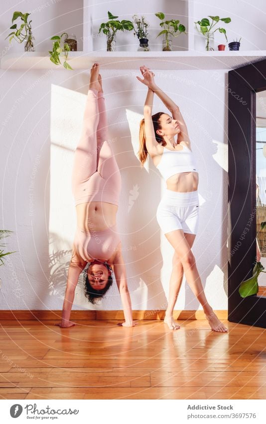 Ruhige Frauen üben gemeinsam Yoga zu Hause Zusammensein beweglich Handstand Berg-Pose ruhig Gesundheit Gleichgewicht Asana Wellness Dehnung Harmonie Körper