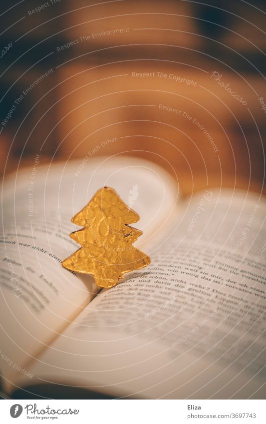 Kleiner goldener Tannenbaum steht auf einem aufgeschlagenen Buch. Weihnachten. Weihnachtsgeschichte lesen Christbaum Weihnachten & Advent Literatur