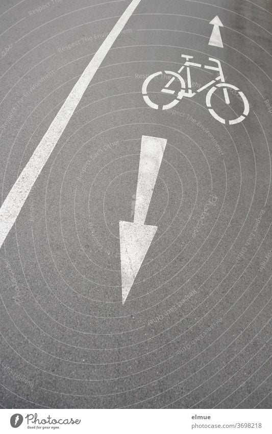 Auf dem grauen, asphaltierten Radweg neben der Straße zeigen weiße Piktogramme von einem Rad und zwei Pfeilen dem Radfahrer an, dass er mit Gegenverkehr rechnen muss