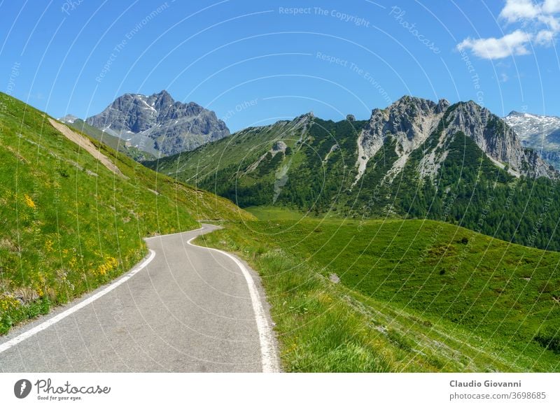 Berglandschaft entlang der Straße zum Crocedomini-Pass Brescia Europa Italien Juni Lombardei Farbe Tag grün Landschaft Berge u. Gebirge Natur Fotografie Pflanze