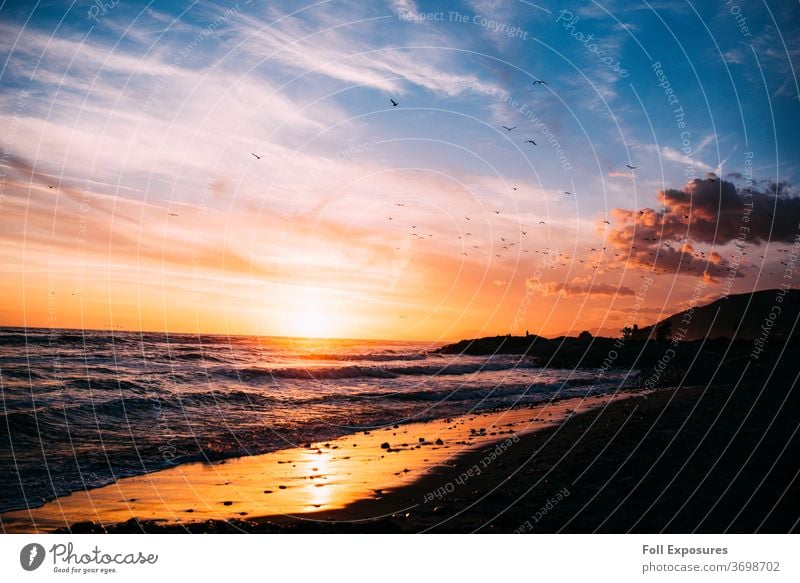 Wellen schlagen gegen den Strand, während Vögel durch den goldenen Himmel schweben & Sonnenuntergang in Ventura, Kalifornien Meer Außenaufnahme Pazifik