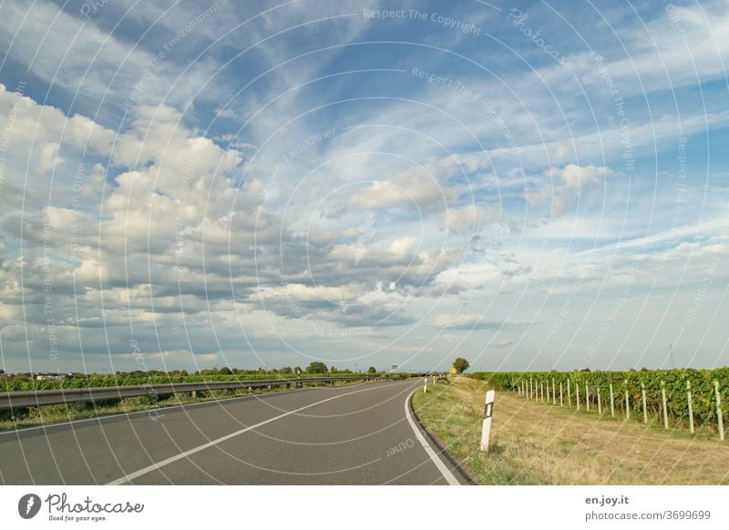 unterwegs in der Pfalz Straße Überholverbot Wolken Himmel Kurve Straßenrand Weinreben Leitplanke Weitwinkel fahren Verkehr Autofahren reisen leer frei Fahrt