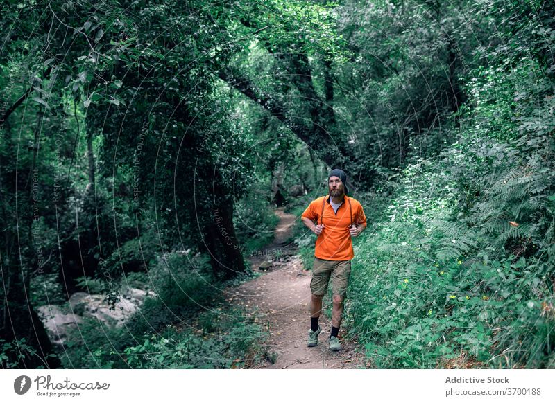 Männlicher Tourist, der im grünen Wald spazieren geht Wälder Sommer Urlaub Mann reisen Wanderer Nachlauf Feiertag Tourismus männlich Ausflug Baum Reisender
