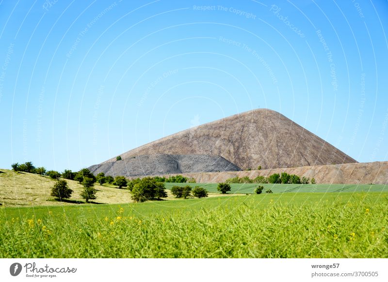 Abraumhalde des Bergbaus im Mansfelder Revier hinter grünen Vordergrund und unter blauen Himmel Bergbaugeschichte Bergbauindustrie Textfreiraum oben