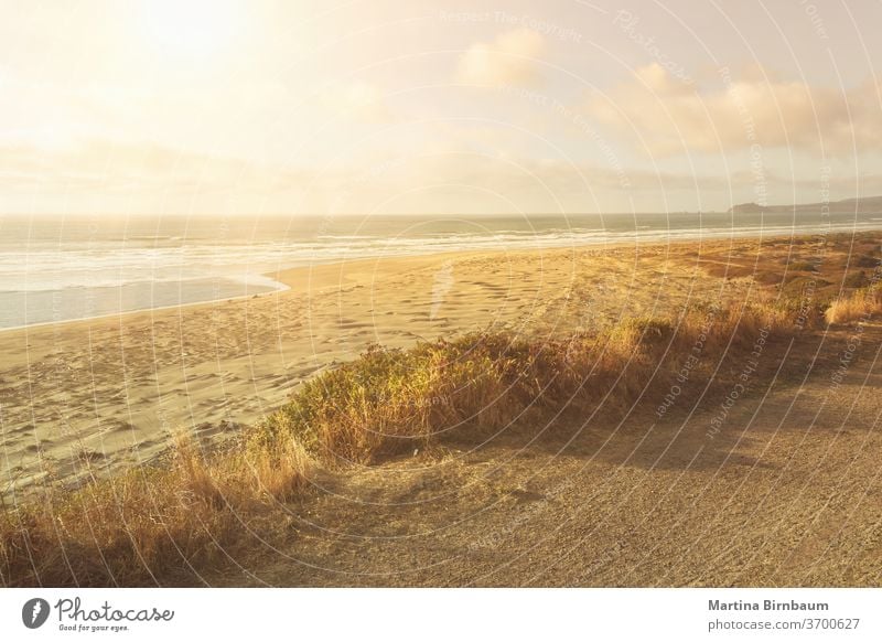 Sommerliche Schwingungen. Endloser, menschenleerer Sandstrand in Nordkalifornien idyllisch Ferien pazifik Kalifornien reisen Sonnenuntergang Strand im Freien