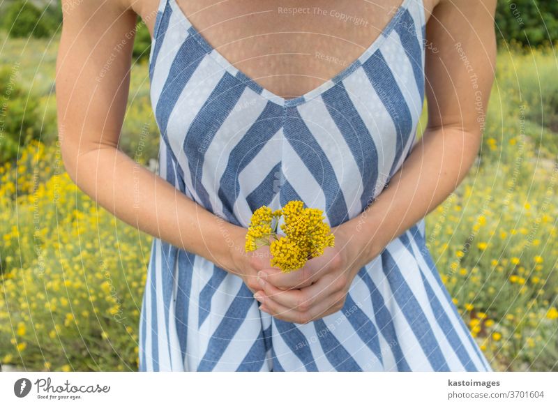 Torso einer jungen Frau, die ein gestreiftes Sommerkleid in einer Superblüte von Wildblumen trägt und einen Strauß gelber Blumen in der wunderschönen Natur der Adriaküste Kroatiens hält