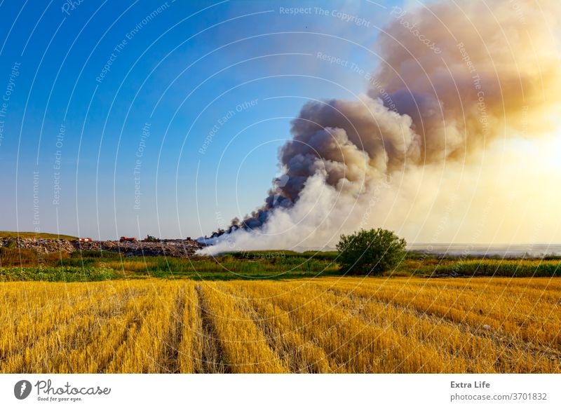 Müllhaufen auf Müllkippe verbrennt landwirtschaftlich Ackerbau Agronomie Air anbaufähig Brandwunde verbrannt Verunreinigung Land Ernte kultiviert