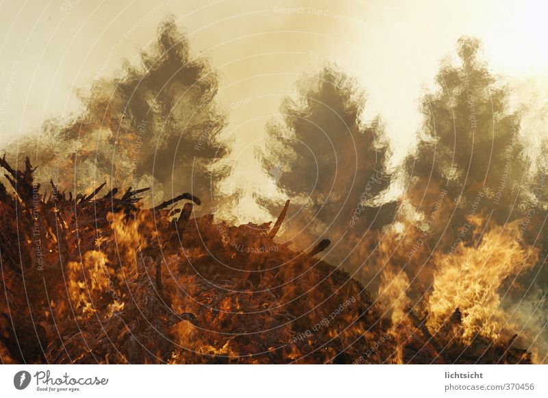 Sonnenbrand Urelemente Feuer Himmel Klima Klimawandel Wetter Wärme Baum Wald heiß glänzend glühen glühend Dürre Haufen Osterfeuer Waldbrand Luft Lichtbrechung